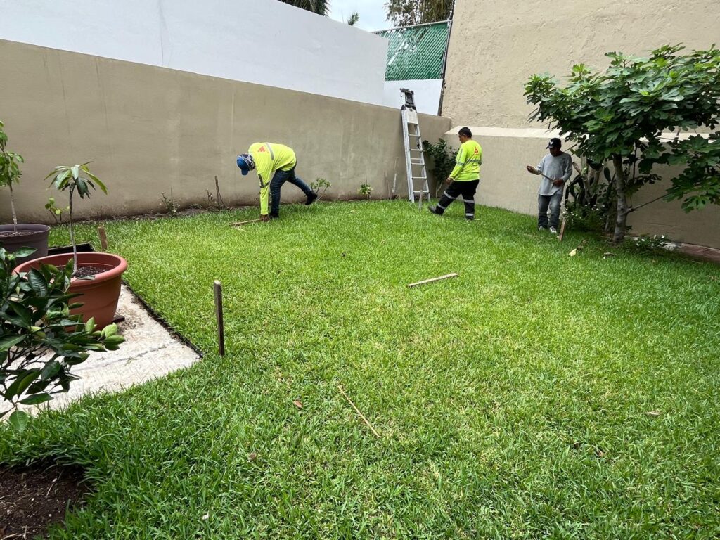 WhatsApp Image 2025-09-19 at 02.01.55